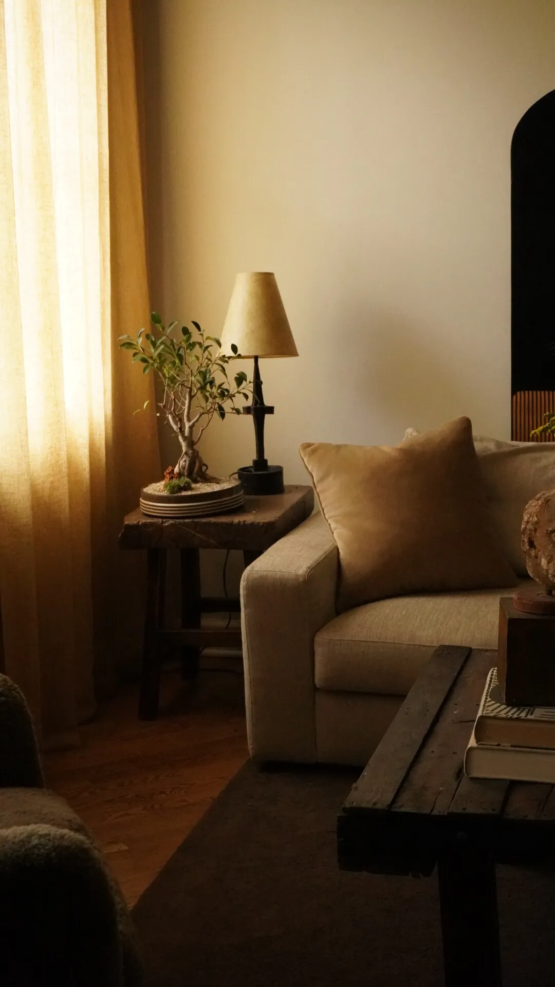 A ficus bonsai in a shallow ceramic dish on a rustic side table, lit by lamplight beside a linen sofa at dusk.