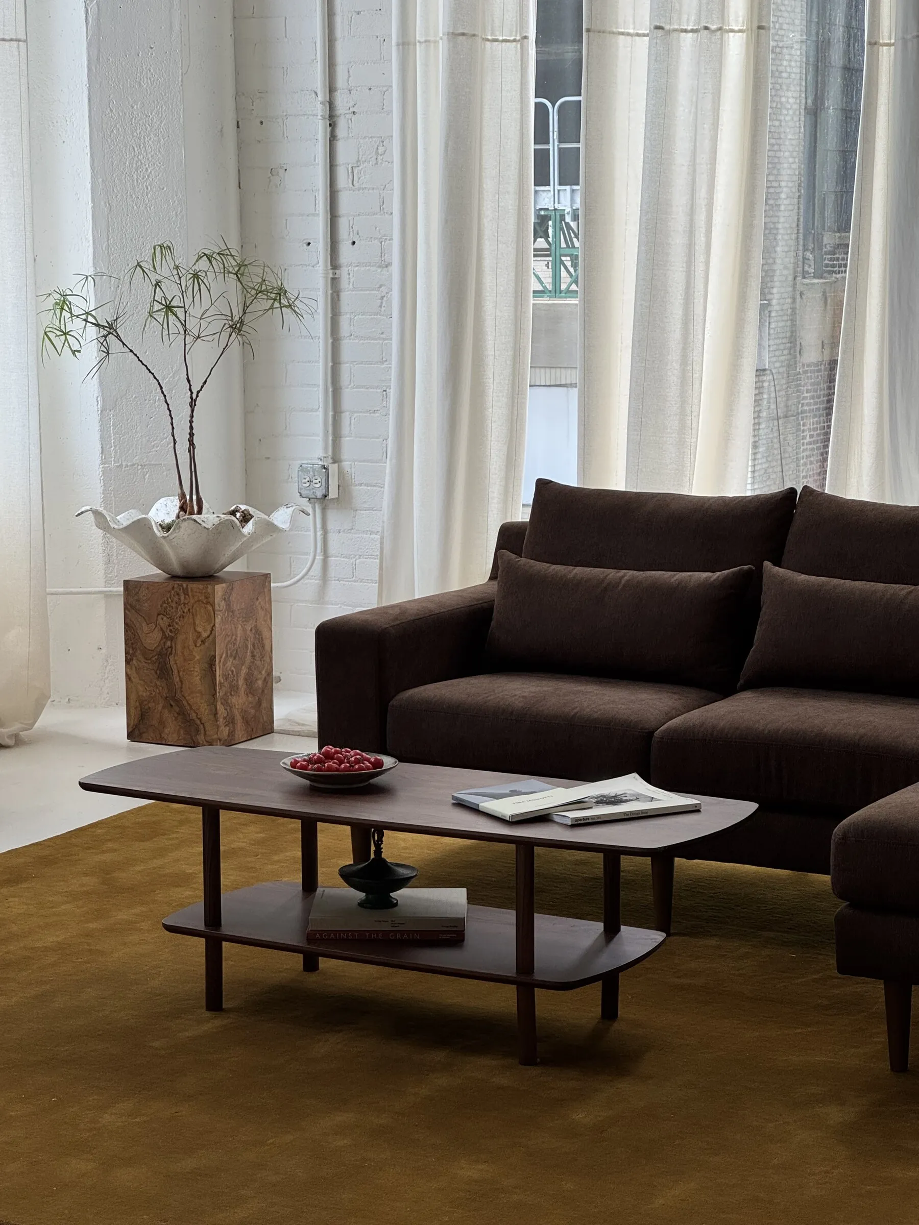 A brachychiton forest in a white sculptural planter on a wood plinth, in a loft living room with a brown sofa, walnut coffee table, and ochre rug.